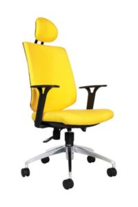 Kursi Kantor Direktur Chairman Bandung type TS 02301 A
